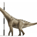 new-species-of-titanosaur-identified-amid-group-of-ancient-skeletons-found-in-spain