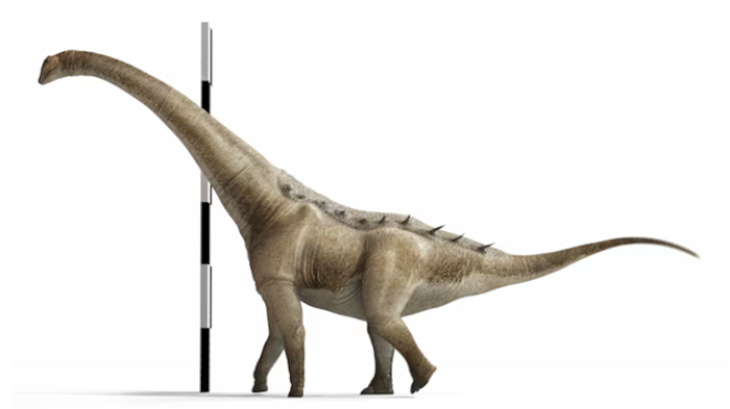 new-species-of-titanosaur-identified-amid-group-of-ancient-skeletons-found-in-spain