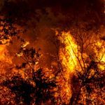 california-wildfires-updates:-firefighters-score-success-in-containment-battle