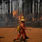 this-is-how-much-the-fire-risk-in-south-america-has-increased-in-recent-decades