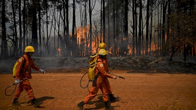 this-is-how-much-the-fire-risk-in-south-america-has-increased-in-recent-decades