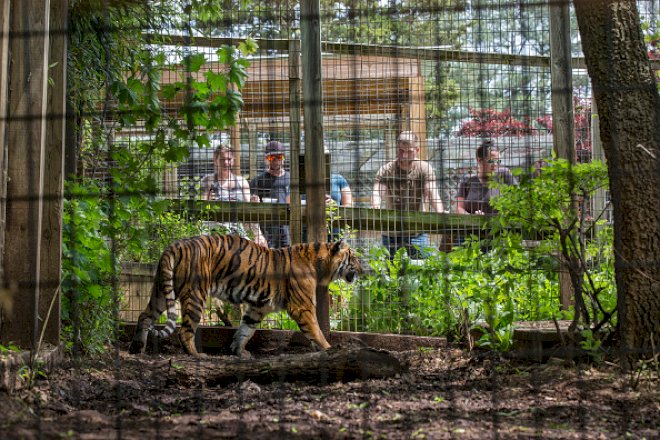 investigation-into-roadside-zoos-finds-risks-to-guests-and-animals-at-some-facilities