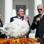 biden-pardons-‘peach’-and-‘blossom’-in-white-house-thanksgiving-turkey-tradition