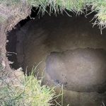 missing-grandmother-believed-to-have-fallen-into-sinkhole:-police