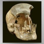 dna-reveals-when-modern-humans-began-‘mixing’-with-neanderthals