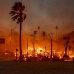 how-will-the-california-wildfires-shape-the-home-insurance-industry?