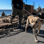 firefighter-helps-rescue-dog-while-battling-eaton-fire:-‘i-need-to-find-that-dog’