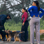 indian-supreme-court’s-order-seeks-to-take-bite-out-of-stray-dog-problem-observers-say-it’s-mostly-bark.