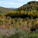 missing-west-virginia-coal-miner-found-dead-after-nearly-week-trapped-underground:-governor