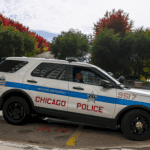 woman-set-on-fire-on-chicago-l-train,-person-of-interest-in-custody:-police