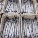 china-to-suspend-imports-of-japanese-seafood-in-latest-escalation-over-taiwan-comments