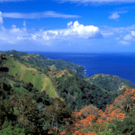 police-investigate-after-american-man-found-fatally-stabbed-in-tobago