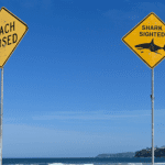 shark-attack-in-australia-leaves-1-dead,-1-injured