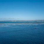 swimmer-missing-after-possible-shark-attack-in-california,-search-ongoing