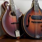 ‘sorry,-i-been-drunk’:-thief-returns-stolen-mandolins-to-new-jersey-guitar-store-with-apology-note