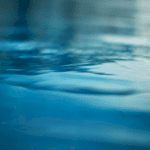 damage-to-the-ocean-nearly-doubles-economic-cost-of-climate-change,-new-study-finds