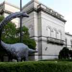 exhibition-of-rarely-seen-fossils-now-on-display-at-the-carnegie-museum-of-natural-history