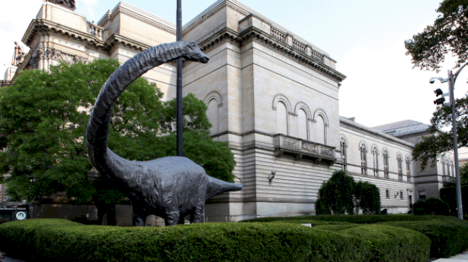 exhibition-of-rarely-seen-fossils-now-on-display-at-the-carnegie-museum-of-natural-history