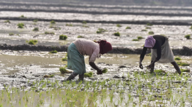 the-planet-has-entered-an-era-of-‘water-bankruptcy,’-according-to-new-un-report