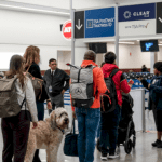 dhs-reverses-decision-to-suspend-tsa-precheck-and-global-entry-due-to-shutdown