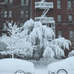 more-snow-expected-for-the-midwest-and-northeast