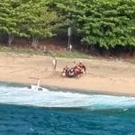 3-killed,-2-injured-in-hawaii-helicopter-tour-crash