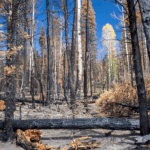 intensifying-drought-could-trigger-water-shortages-and-prolonged-fire-season-in-the-west