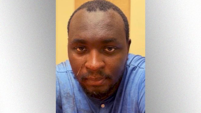 woman-stabbed-to-death-while-walking-dog-in-florida-in-random,-‘violent’-attack:-sheriff