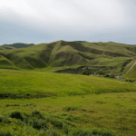 attorney-of-man-shot-in-ice-involved-shooting-says-18th-street-gang-allegations-are-false