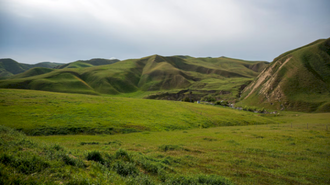 attorney-of-man-shot-in-ice-involved-shooting-says-18th-street-gang-allegations-are-false