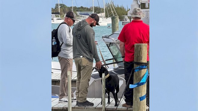 husband-of-american-woman-missing-in-bahamas-leaves-islands,-attorney-says