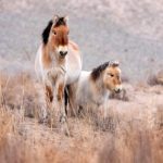 earth-day-2026:-the-planet-has-experienced-several-environmental-wins-in-recent-months