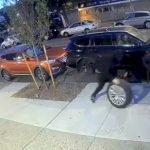 ‘pit-crew’-car-thieves-arrested-following-over-250-bronx-heists:-new-york-investigators