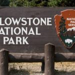2-hikers-injured-in-bear-attack-at-yellowstone-national-park