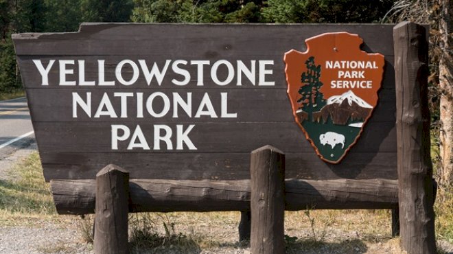 2-hikers-injured-in-bear-attack-at-yellowstone-national-park