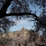 man-arrested-in-murder-of-transgender-university-of-washington-student:-police