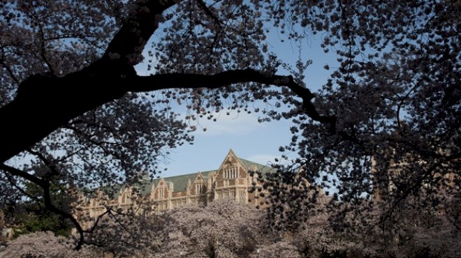 man-arrested-in-murder-of-transgender-university-of-washington-student:-police