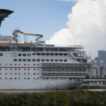 cruise-ship-killing:-stepbrother-can-stay-out-of-jail,-judge-rules