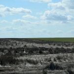 us-agriculture-industry-at-risk-as-drought-conditions-worsen