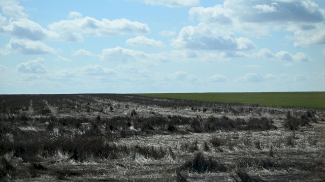 us-agriculture-industry-at-risk-as-drought-conditions-worsen