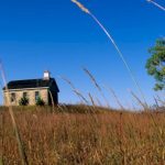 the-us-has-lost-about-half-of-its-historical-grasslands.-why-experts-say-it’s-important-to-protect-what’s-left