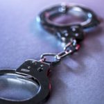 suspect-charged-after-3-year-old-boy-wound-up-in-crocodile-enclosure-released-on-bail