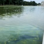 reflecting-pool-renovations-to-cost-more-than-$16-million