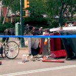 central-park-horse-carriage-rides-temporarily-suspended-following-death-of-18-year-old-tourist