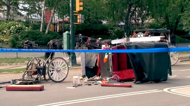 central-park-horse-carriage-rides-temporarily-suspended-following-death-of-18-year-old-tourist