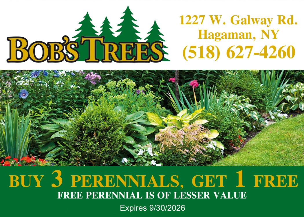Bob's Trees