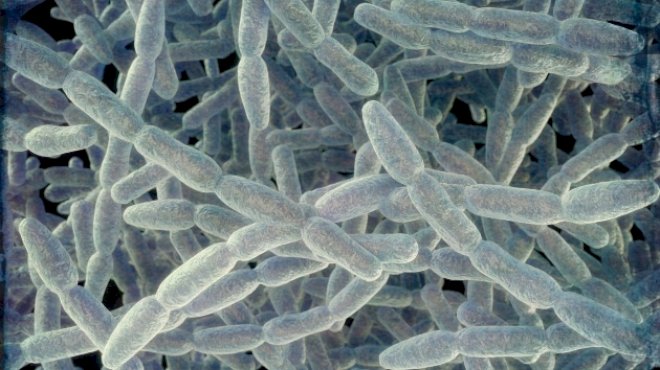nearly-2-dozen-sickened-in-legionnaires’-disease-cluster-in-new-york-city