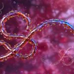 americans-in-drc-will-no-longer-be-able-to-fly-directly-to-us-amid-ebola-outbreak