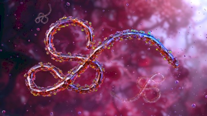 americans-in-drc-will-no-longer-be-able-to-fly-directly-to-us-amid-ebola-outbreak