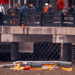 bird-strike-likely-caused-new-york-city-helicopter-crash-in-hudson-river:-ntsb